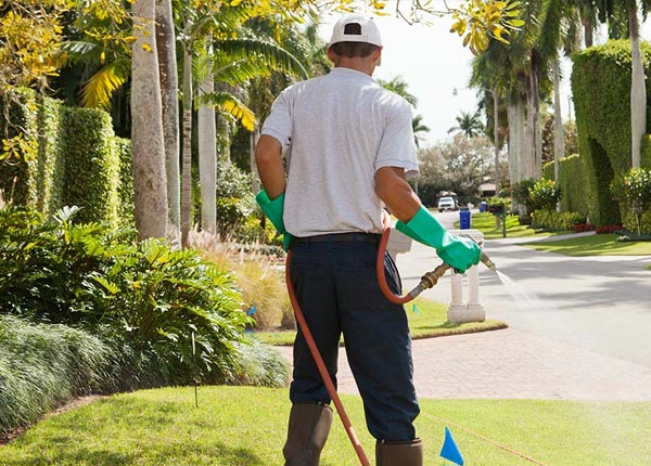 About Weatogue CT Pest Control